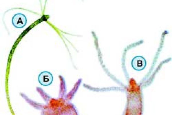 Восстановить аккаунт на кракене