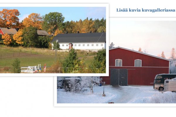 Какая ссылка у кракена