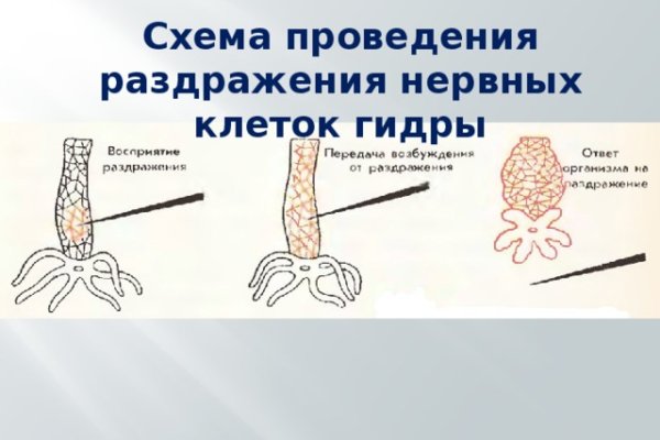 Кракен рабочий сайт