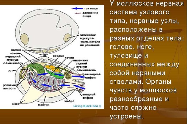 Вход на кракен